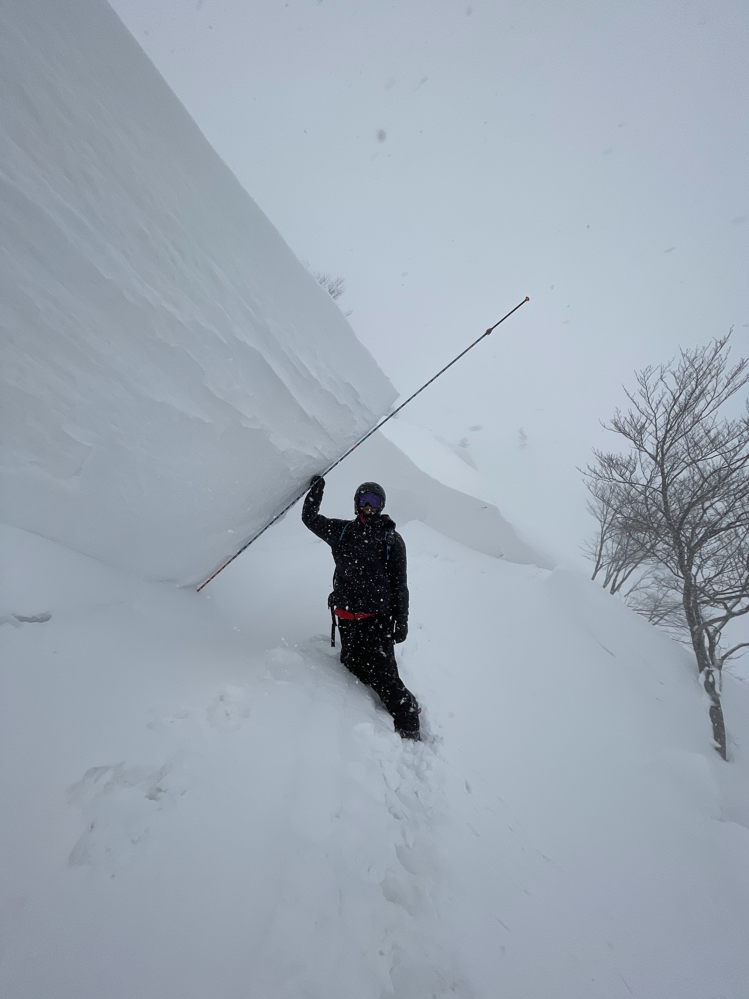 雪崩調査研究