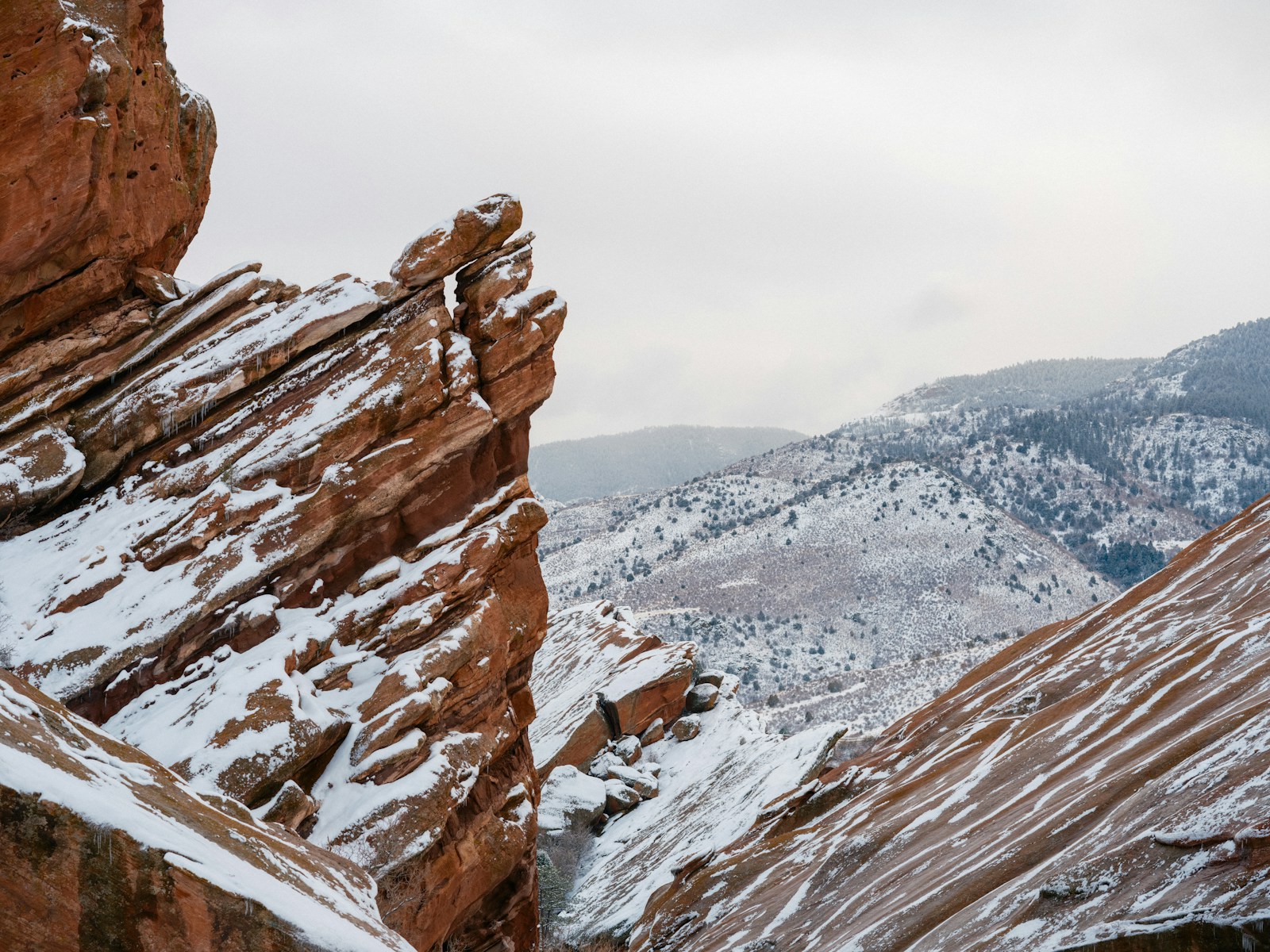 コロラドロッキー山脈の冬山 — 大規模雪崩頻度の変化要因研究（Photo: Cristofer Maximilian / Unsplash）
