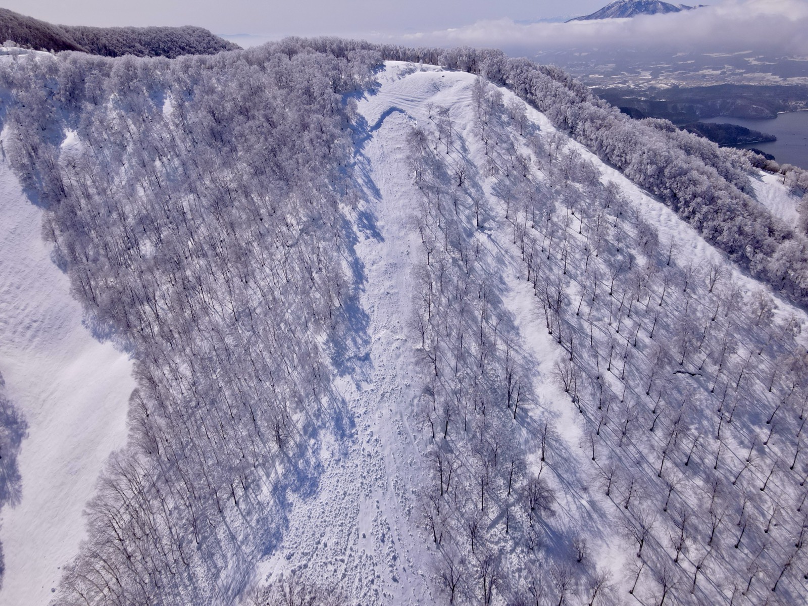 斑尾高原スキー場で発生した雪崩の全景。樹林に挟まれたコースを雪崩のデブリが流下している（ドローン空撮）