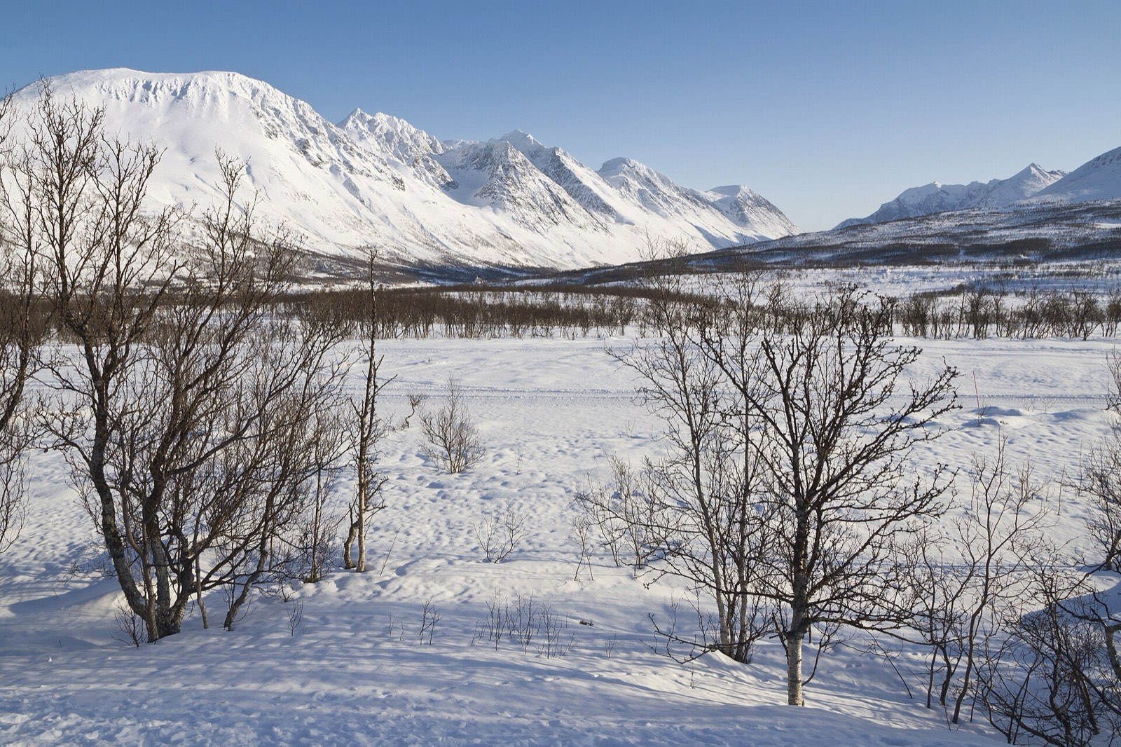 北ノルウェー・リンゲン山群の積雪した山々（2012年3月）（写真：Simo Räsänen / CC BY-SA 3.0, Wikimedia Commons）